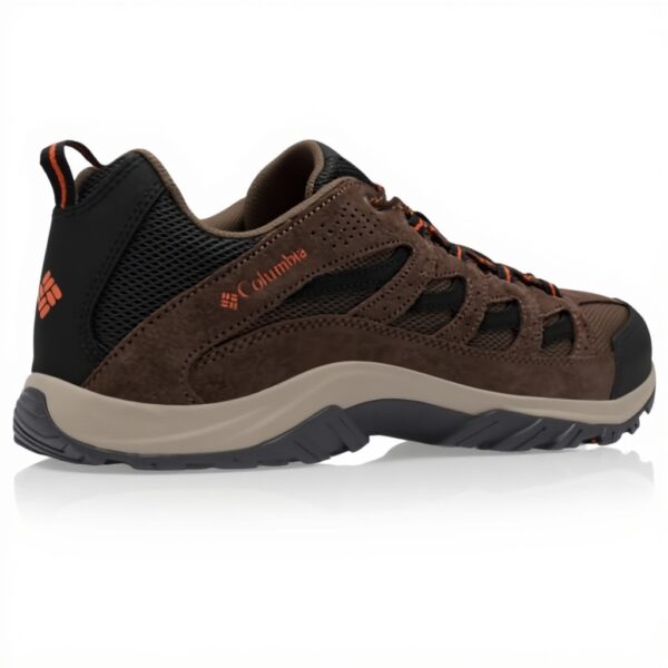 Chaussures randonnée homme Columbia Newton Ridge Plus