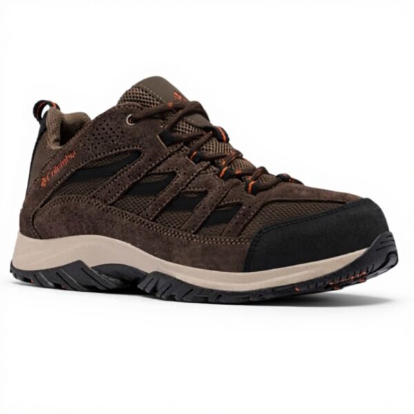 Chaussures randonnée homme Columbia Newton Ridge Plus